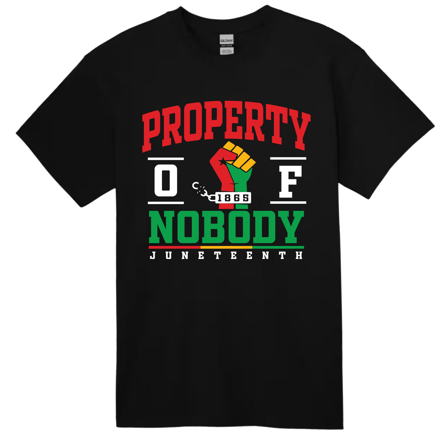 Property of Nobody Juneteenth T-Shirt